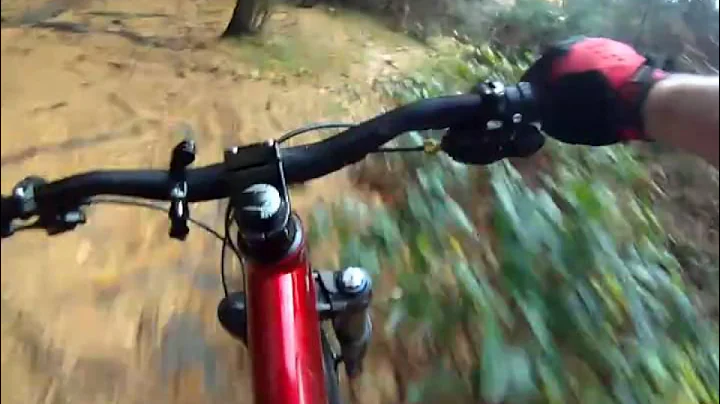 Bike hits tree, all in glorious HD