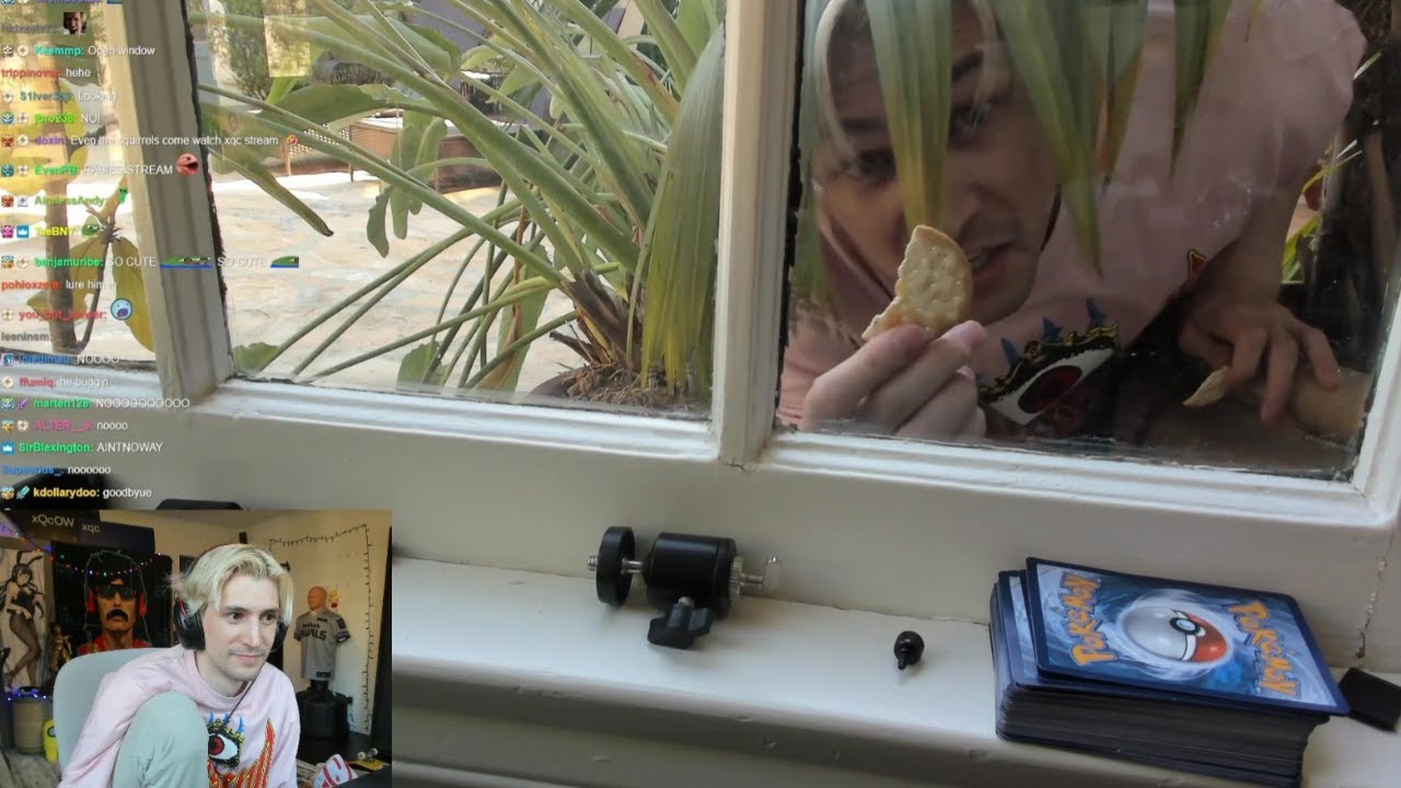 xQc reacts to random man at his window
