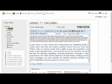 How do I copy and paste using the 16 Interactive CMS Content Management System?