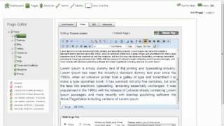 How do I copy and paste using the 16 Interactive CMS Content Management System