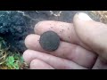 поиск монет в лесу,коп с minelab x-terra 705