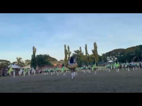 THE CHAMPIONS,THE MOST DISCIPLINED,BEST IN CHOREOGRAPHY#THE ROYALGREENBAND FROM@SUMALIRINGHIGH#2024