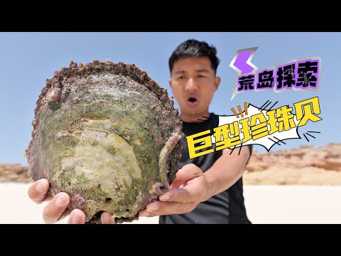 《Oman自驾》第31集：2天1夜探索无人海岛，收获好多巨型珍珠贝 #荒岛探索 #赶海 #海钓 #阿曼 #潜水 #珍珠贝 #户外露营