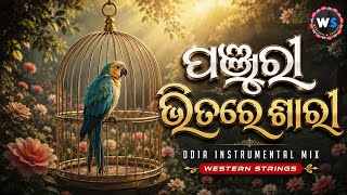 Panjuri Bhitare Sharee || Odia Classic Song Instrumental || FT. Anjali Mishra screenshot 5