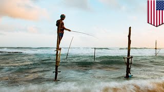 Overfishing: Researchers say ocean-farming could fill world's seafood needs - TomoNews