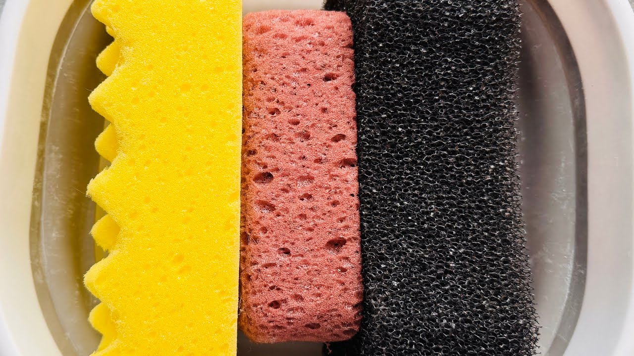 ASMR slightly dried alcohol sponge rip Ripping variety of sponges at various stages of jelly 🧽