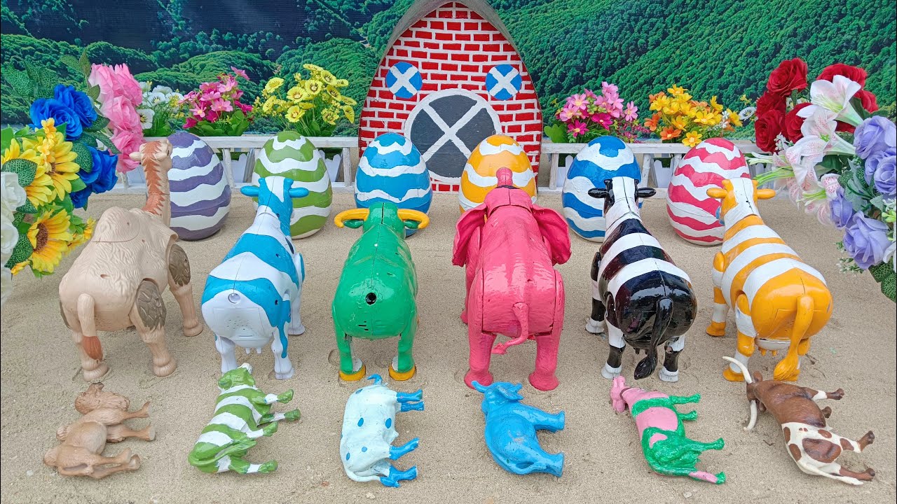 Wadidau….!!! Proses Potong Sapi Kurban | Proses Melahirkan Sapi & Kerbau | Creature Cow