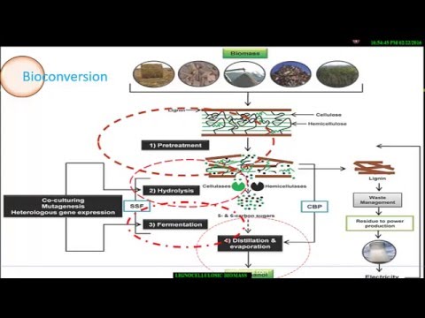 Video: Saccharification Av Recalcitrant Biomassa Och Integrationsalternativ För Lignocellulosic Socker Från Catchlight Energy Socker Process (CLE Sugar)