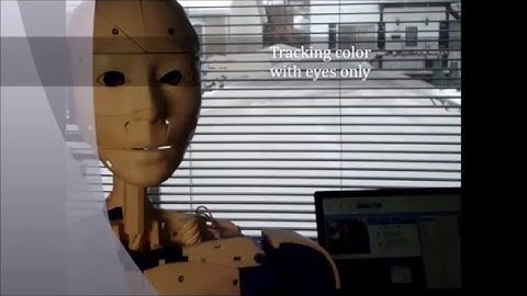 Inmoov Camera Tracking