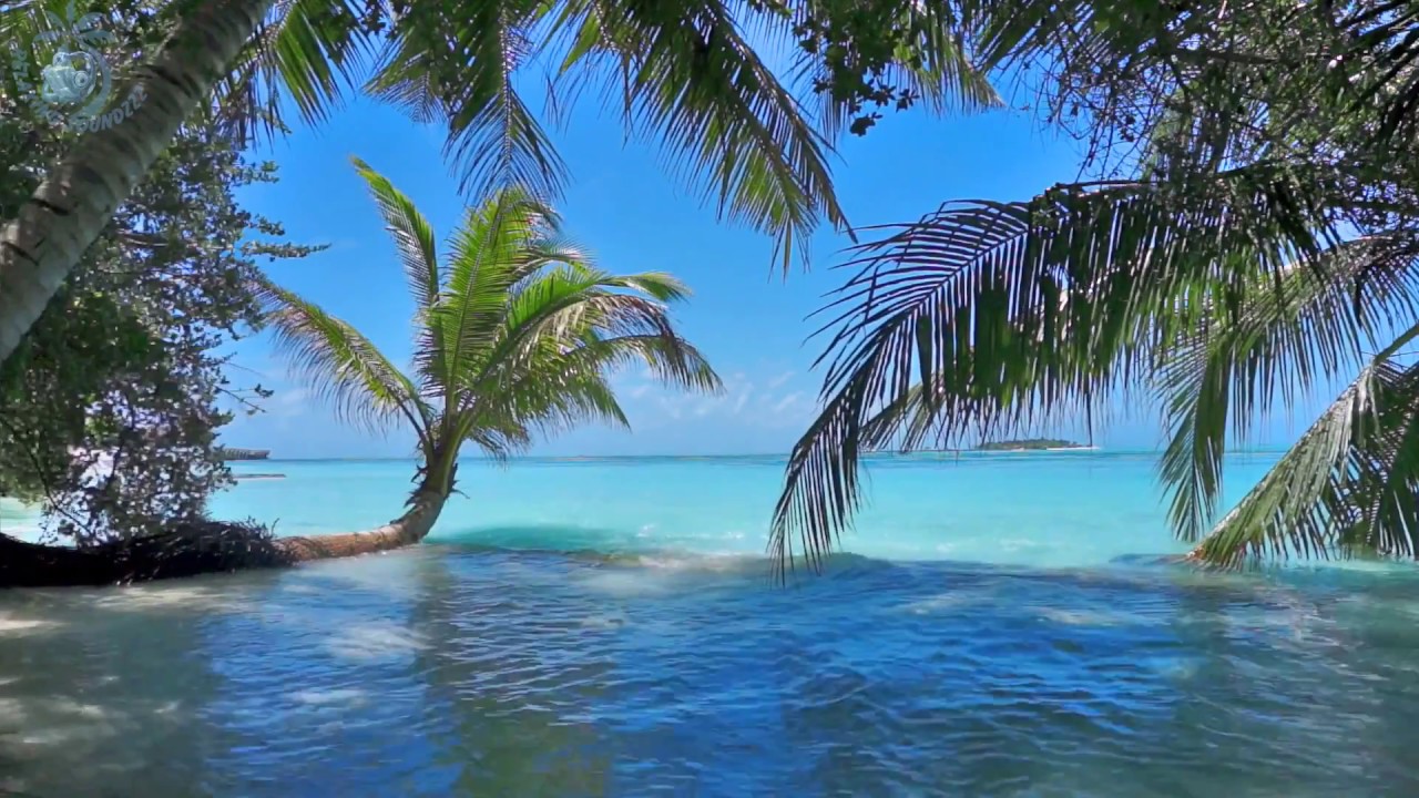 4K UHD 10 hours - Tropical Beach \u0026 Gentle Birds/Waves Audio window - relaxing, meditation, nature