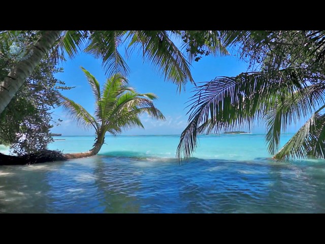 🌴 Ocean Ambience on a Tropical Island (Maldives) with Soothing Waves u0026 Paradise View for Relaxation. class=