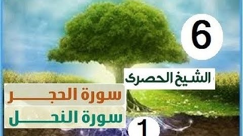 ‏المصحف المعلم الشيخ الحصري  سورة الحجر - النحل الجزء الرابع عشر الوجه6