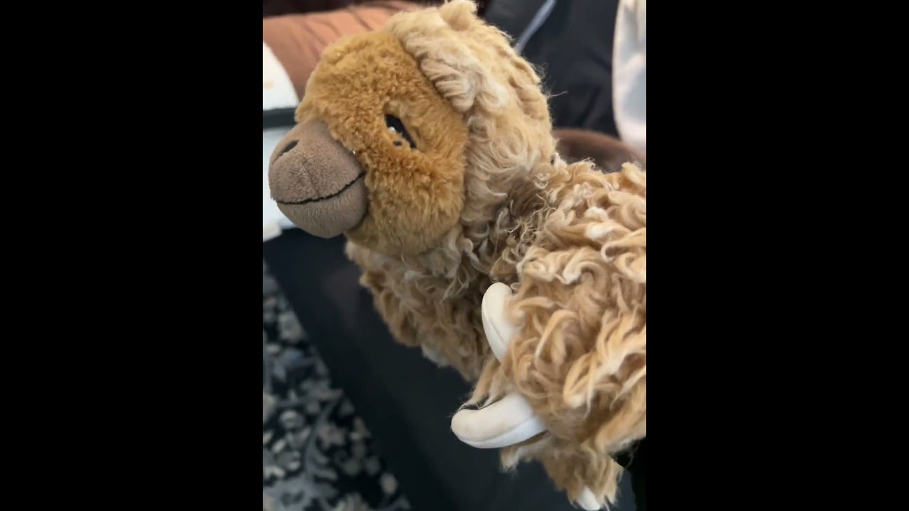 BarkBox Dog Toy Bundle Review 🐶 | Dog Toys for Medium & Large Dogs 