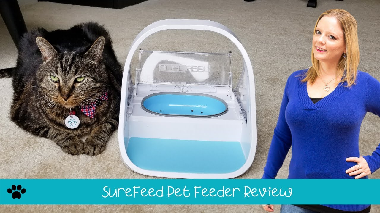 sure cat feeder