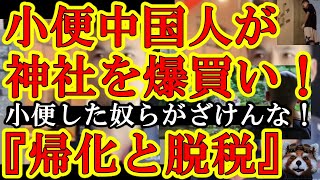 【小便中国人共が日本の神社＆お寺を爆買い！目的が『日本への帰化申請と脱税』だとぉ！靖国神社に小便＆落書きしておいてふざけんなぁ！】反社や悪徳企業がやってた神社仏閣売買を中国人がやり始めてる！止めろ岸田