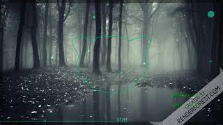 Dubstep Human Music Repost
