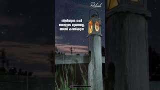 Quotes Whatsapp Status Video 2023 Islamic Song Malayalam Status E.r Media