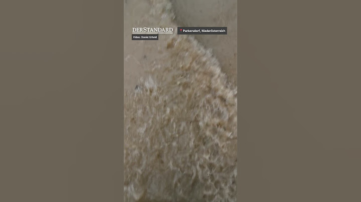 "Dramatische Lage": Hochwasser in Österreich