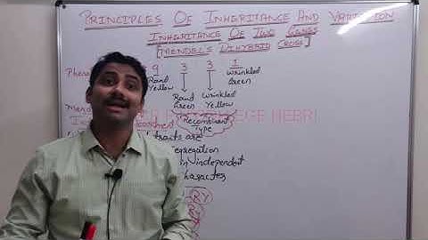 II PU BIOLOGY;Chapter-5; Principles of Inheritance & Variations;Part-10;Lecture by Mr. Sunil Chittal