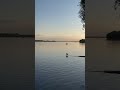 Sunset symphony by the river 🌅🦆 #riverview  #goldenhour #dockside  #peacefulmoments