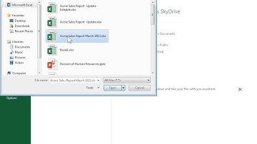 Excel 2013 Share a Workbook on a Social Network
