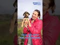 Simon Says Foundation bridges the gap between shelters, networkers, rescuers and fur-ever homes.