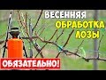 ПЕРВАЯ ОБРАБОТКА ВИНОГРАДА ВЕСНОЙ от болезней и вредителей!!!