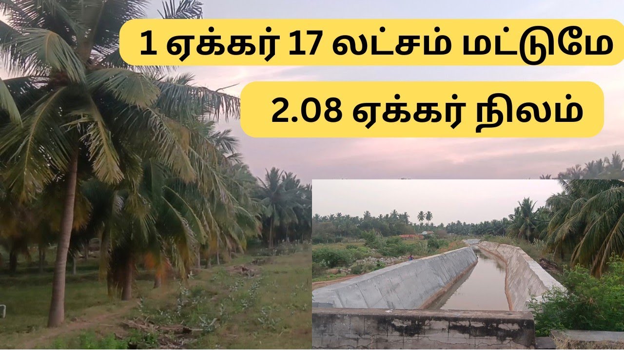 திண்டுக்கல் அருகே 2.08 ஏக்கர் நிலம் விற்பனைக்கு Low cost land for sale #realestate #property #agri