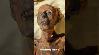 The Mummy Of Ramesses Ii A 3000yearold Story ancientegypt history shorts