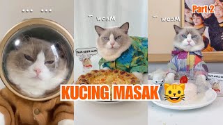 KUCING MASAK PART 2 || Cek Deskripsi video