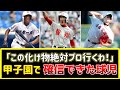 【高校野球】甲子園観て「この化け物選手、絶対プロ行くわ！」と確信できた高校球児といえば？ｗ【2chなんJまとめ】