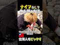 ナイフがないなら…こうする! 台湾人も爆笑の魚の捌き方