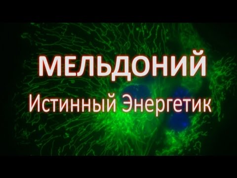 Мельдоний: Истинный Энергетик