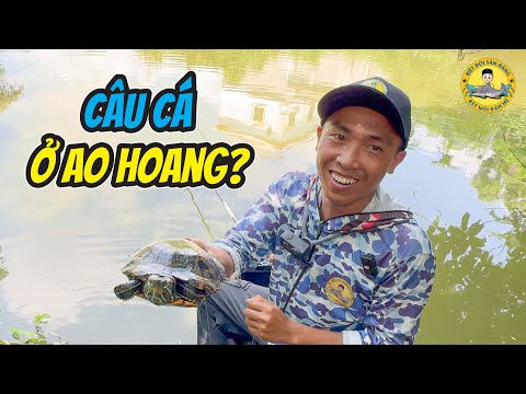 Câu Cá Ở Ao Bỏ Hoang Gặp Nhiều Ẩn Số ??
