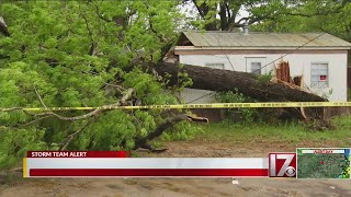 Trees and power lines down in Raleigh