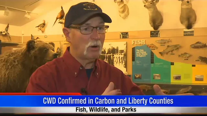 Deer test positive for chronic wasting disease in Liberty, Carbon counties