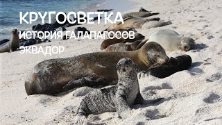 КРУГОСВЕТКА // ДЕНЬ 120 / ЭКВАДОР: ИСТОРИЯ ГАЛАПАГОССКИХ ОСТРОВОВ И ПЕРВОЕ ВПЕЧАТЛЕНИЕ ОТ КИТО