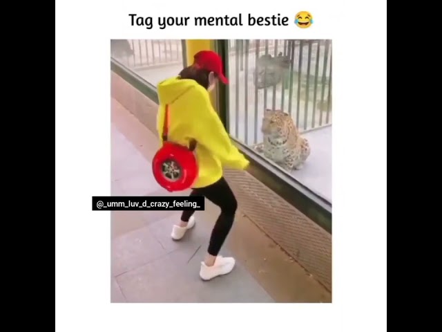 funny memes videos 😂🤣 class=