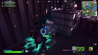 Fortnite with bro