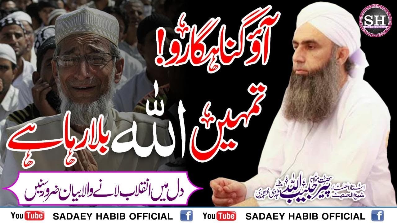 Kitne Bary Hosly hain Parwardigar Ke | very Important Latest Bayan  | Peer Habibullah Naqshbandi Db