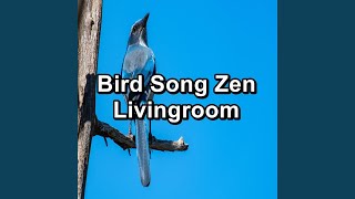 Download Lagu Tropical Flycatchers Sound