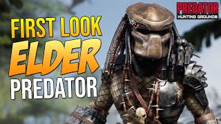 Predator Hunting Grounds FIRST LOOK ELDER PREDATOR GAMEPLAY 