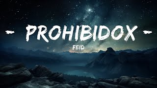 Feid - Prohibidox (Letra/Lyrics)  | Music Mystique