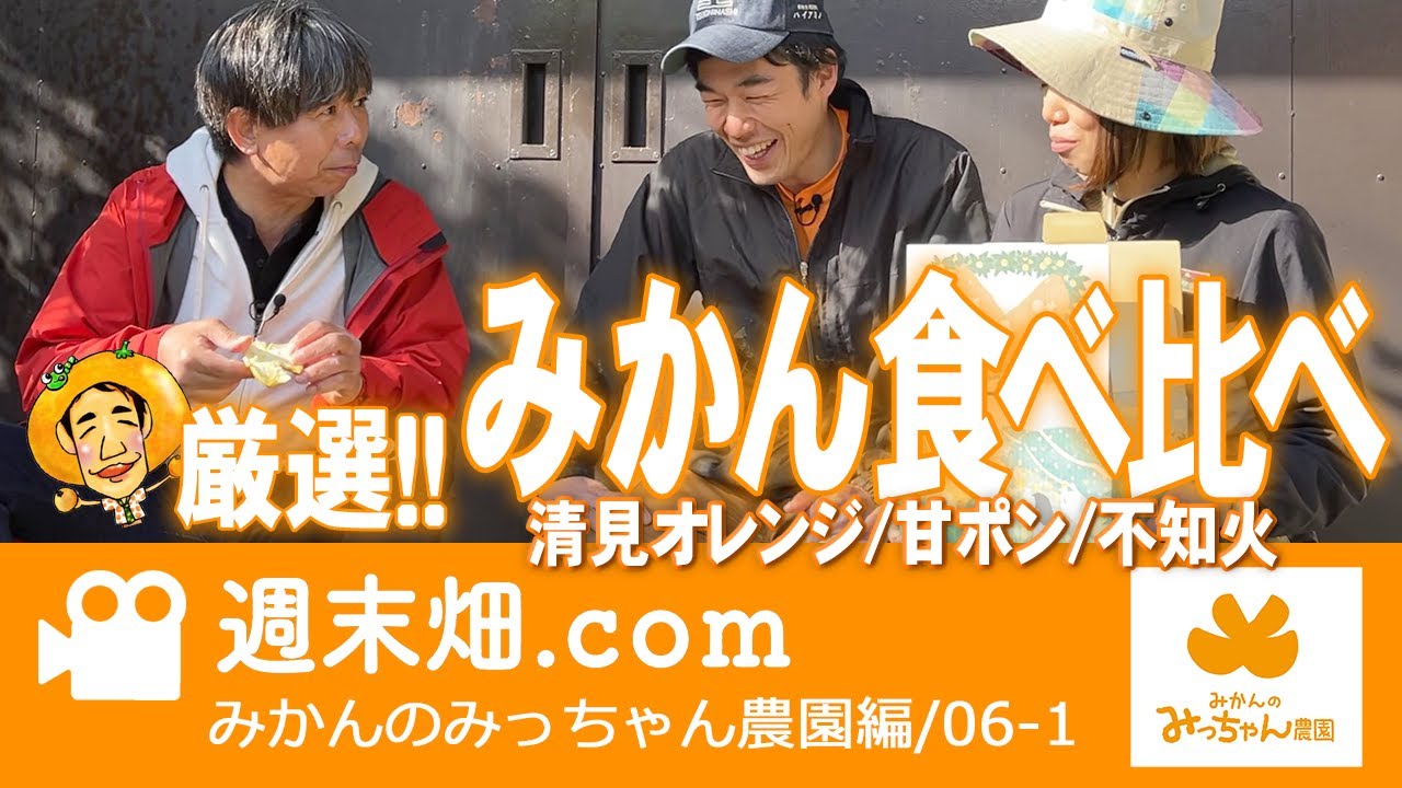 旬のみかんの食べ比べ | 清見、甘ポン、不知火、味の違いは？ | みかん 