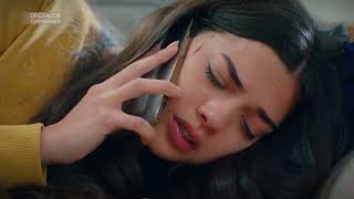 hungarian Trailer  2023092530for My Family