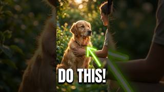 Why Your Pet is a Master of Mindfulness 🐾🧘 #shorts