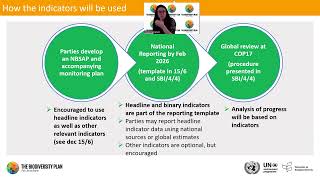 The GBF framework and its data demands for indicator reporting