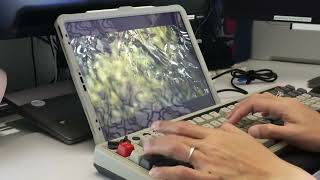 ASMR Keyboard Typing with Nature Sounds (27 minutes)