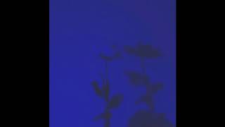 Johnny Goth  - Vanity