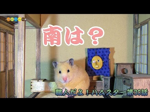～南は？～職人だよ！ハムスター第30話